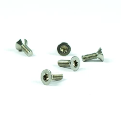 Recambio limpiafondos Hayward Tornillo M4x12 mm flat TORX HD T-15