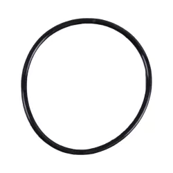 Replacement chlorinator Idegis EPDM gasket