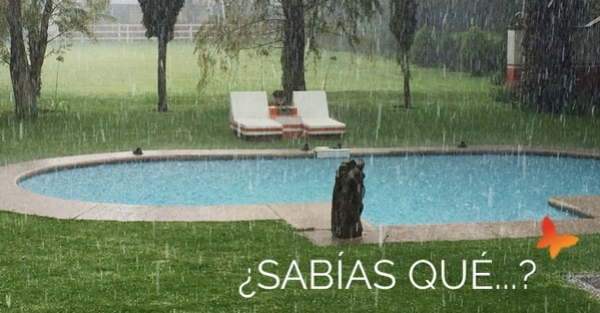 54 - ¿Sabías que la lluvia afecta a tu piscina? - Quimipool